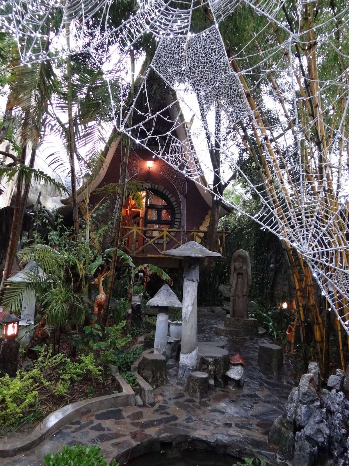 крейзи хаус во вьетнаме
